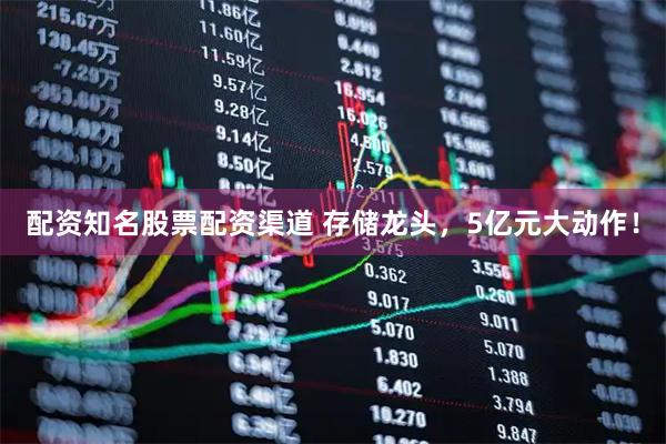 配资知名股票配资渠道 存储龙头，5亿元大动作！